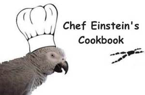 Einstein Parrot Recipes