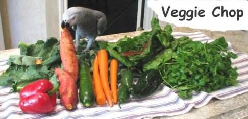 Einstein selecting vegetables to make chop