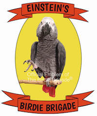 einsteins-birdie-brigade